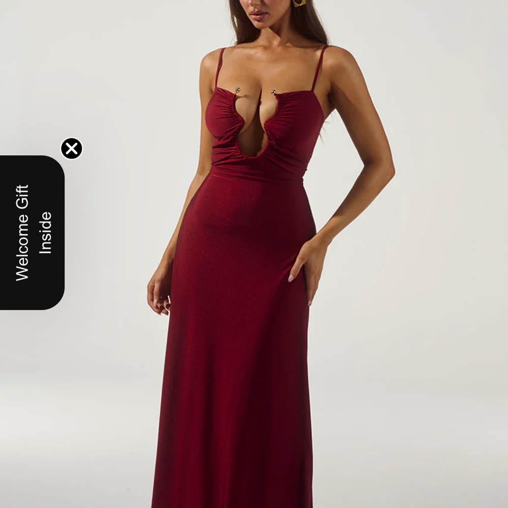 Runaway the label Kalena plunge maxi dress NWT! Burgundy